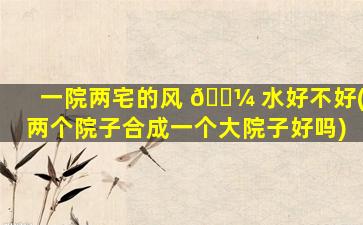 一院两宅的风 🐼 水好不好(两个院子合成一个大院子好吗)